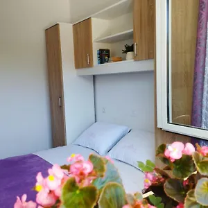 Apartman, And Kata Póla